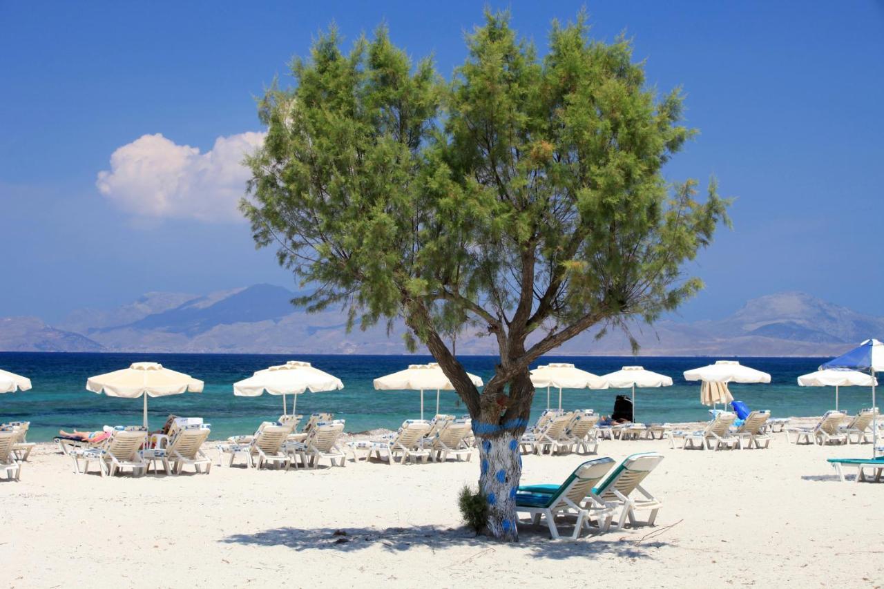 Xeva Studio Mastichari  Dış mekan fotoğraf